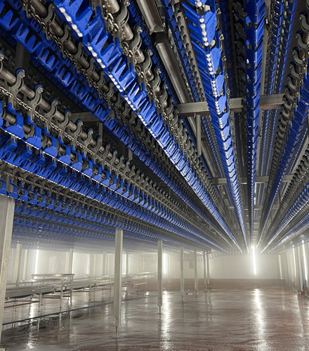 Poultry Processing & Storage